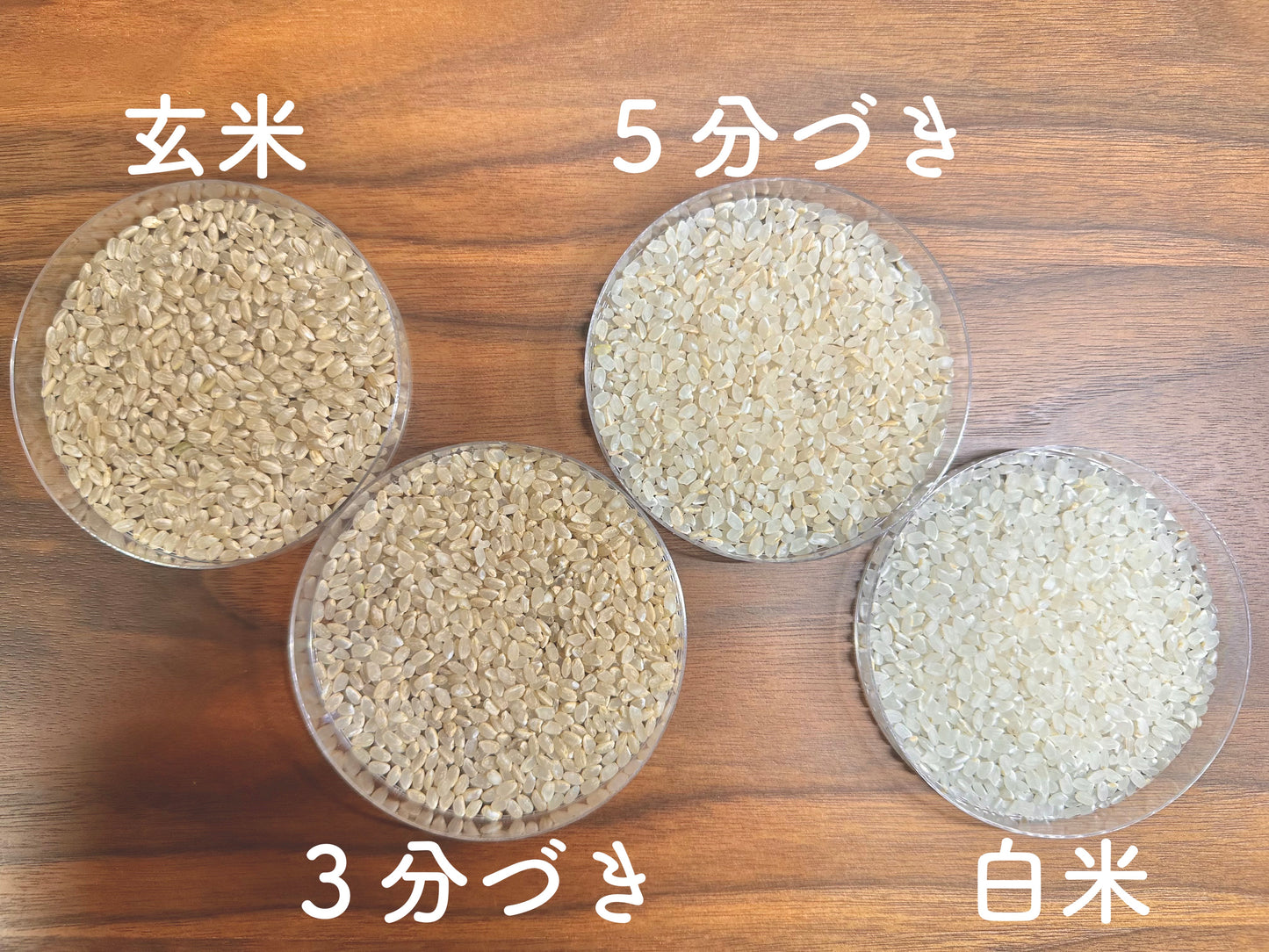 令和7年産 特別栽培米 神戸のまごころ ヒノヒカリ