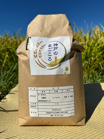 特別栽培米　神戸のまごころヒノヒカリ